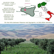 Entimio Ardente | 2024-25 Harvest Organic Extra Virgin Olive Oil, Early Harvest from Sicily | 8.5 fl oz